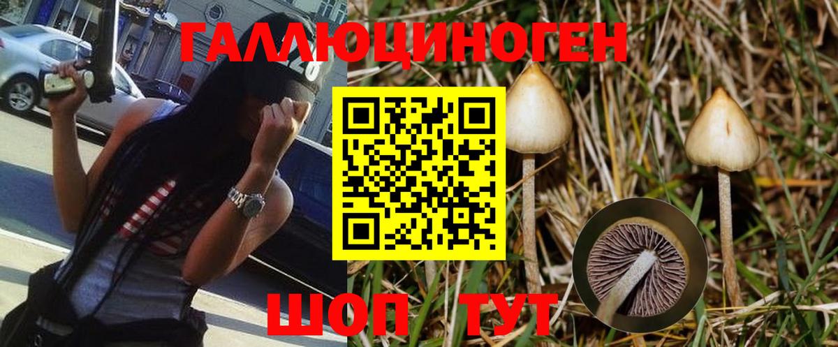 Галлюциногенные грибы Psilocybe  Вход с VPN  Галлюциногенные грибы MAGIC MUSHROOMS  Жуковский 
